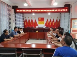 公司機關(guān)黨支部與大灣村黨總支開展結(jié)對共建主題黨日暨黨務(wù)工作培訓(xùn)活動